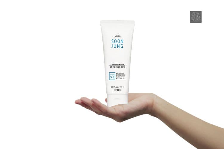 Etude Soon Jung Foam Cleanser for oily skin