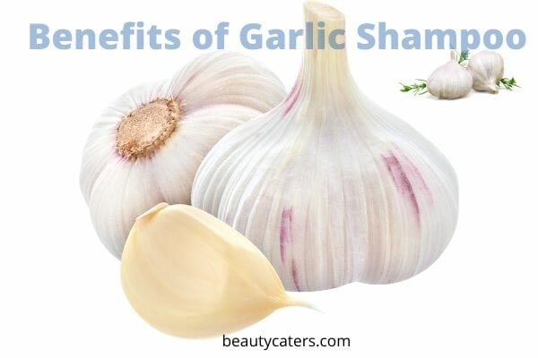 Benefits of Garlic Shampoo