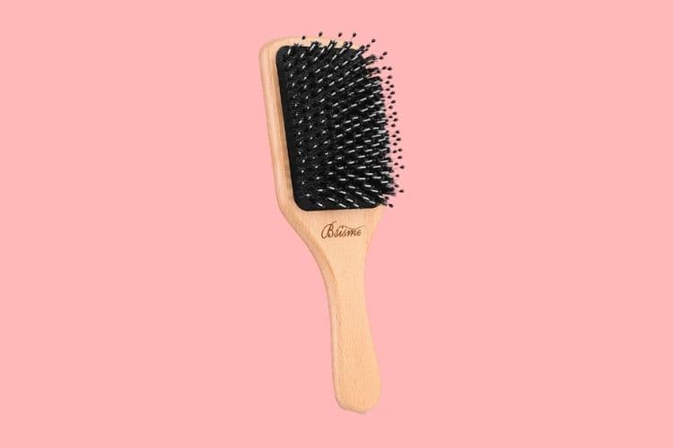 Best boar bristle hairbrush within budget