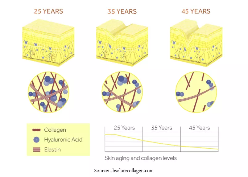 how production of collagen diminishes in our body with age