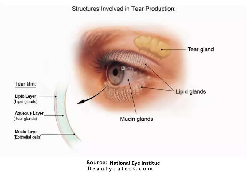 Process of generating tears while crying