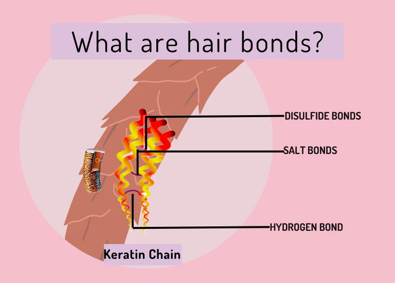 Pictographic representation of the three types of hair bonds-disulphide, salt and hydrogen bonds.