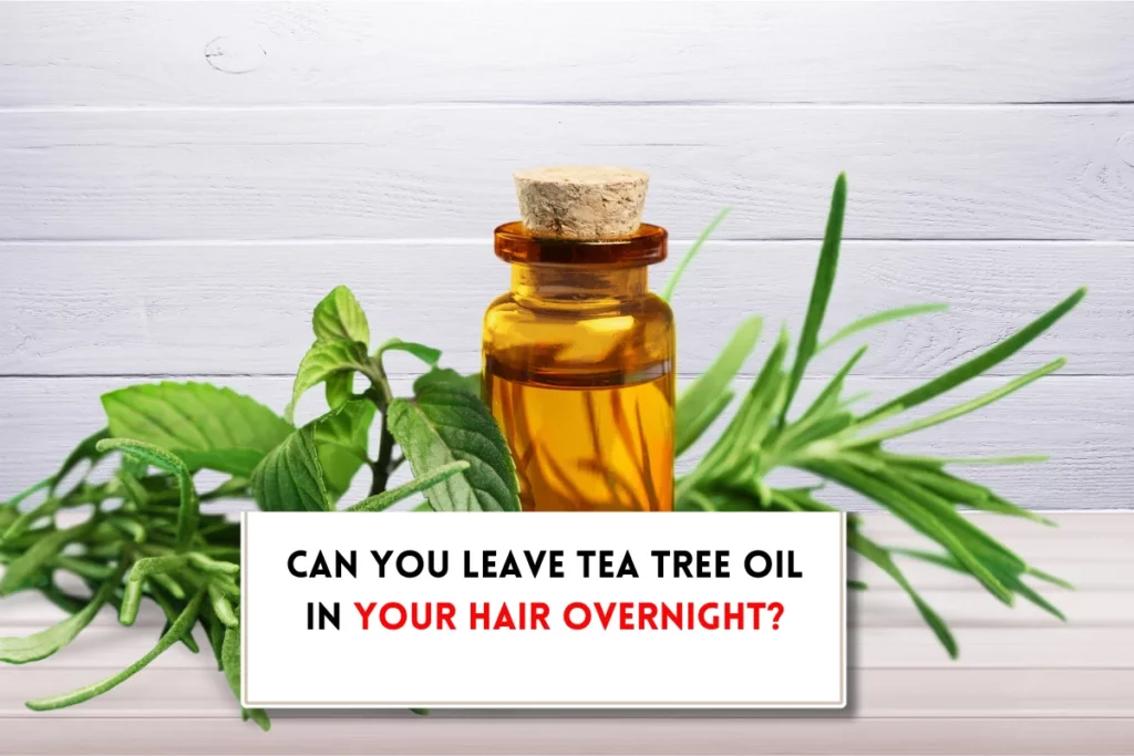 Can you leave tea tree oil in your hair overnight?