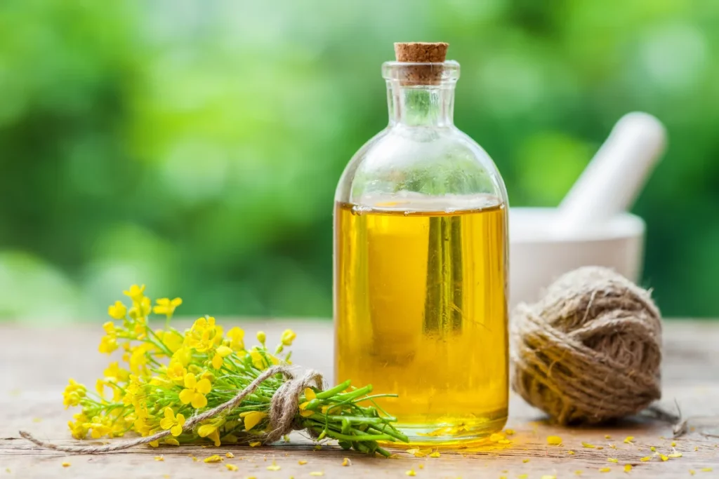 Is canola oil good for hair?