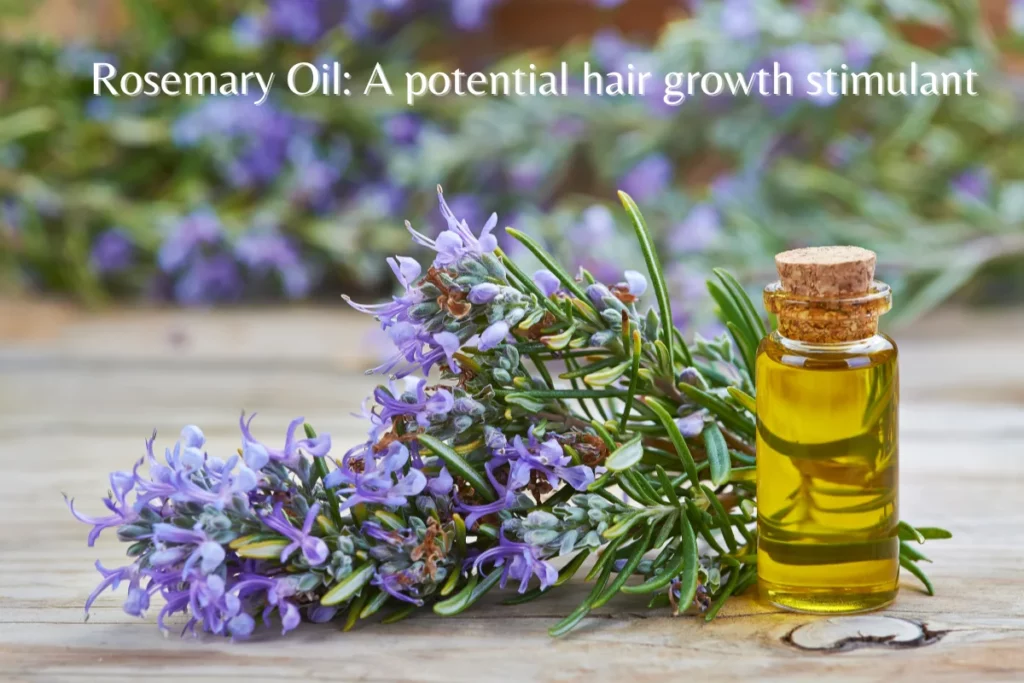 Rosemary Oil: A potential hair growth stimulant