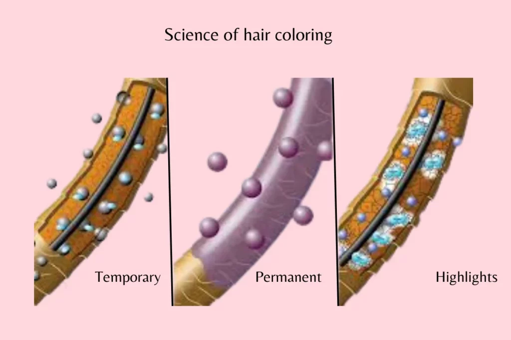 Science of hair coloring