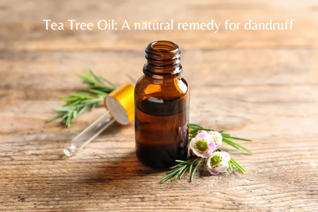 Tea Tree Oil: A natural remedy for dandruff