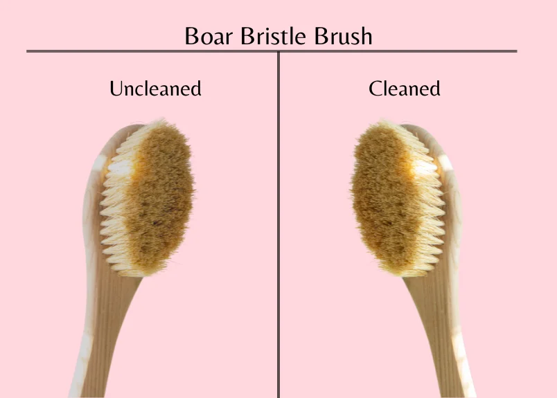 Boar Bristle Brush-Uncleaned & Cleaned