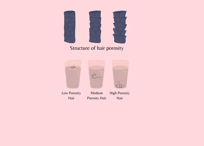 Hair porosity