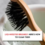 How to clean hair brushes after lice?