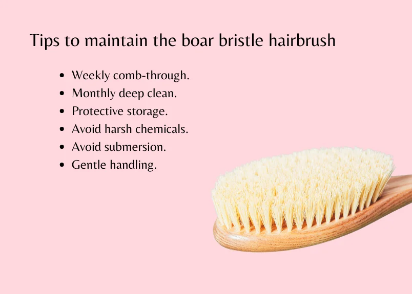 Tips to maintain the boar bristle hairbrush