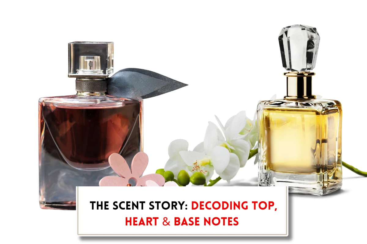 Understanding the notes of perfume